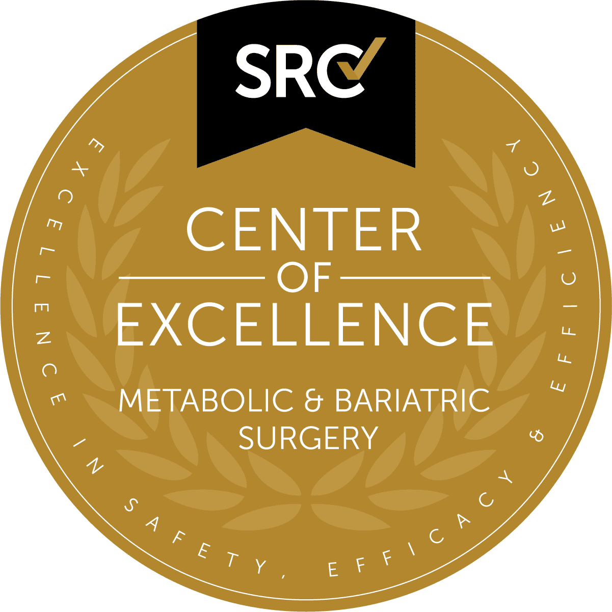 SRC Seal Coembs Center RGB